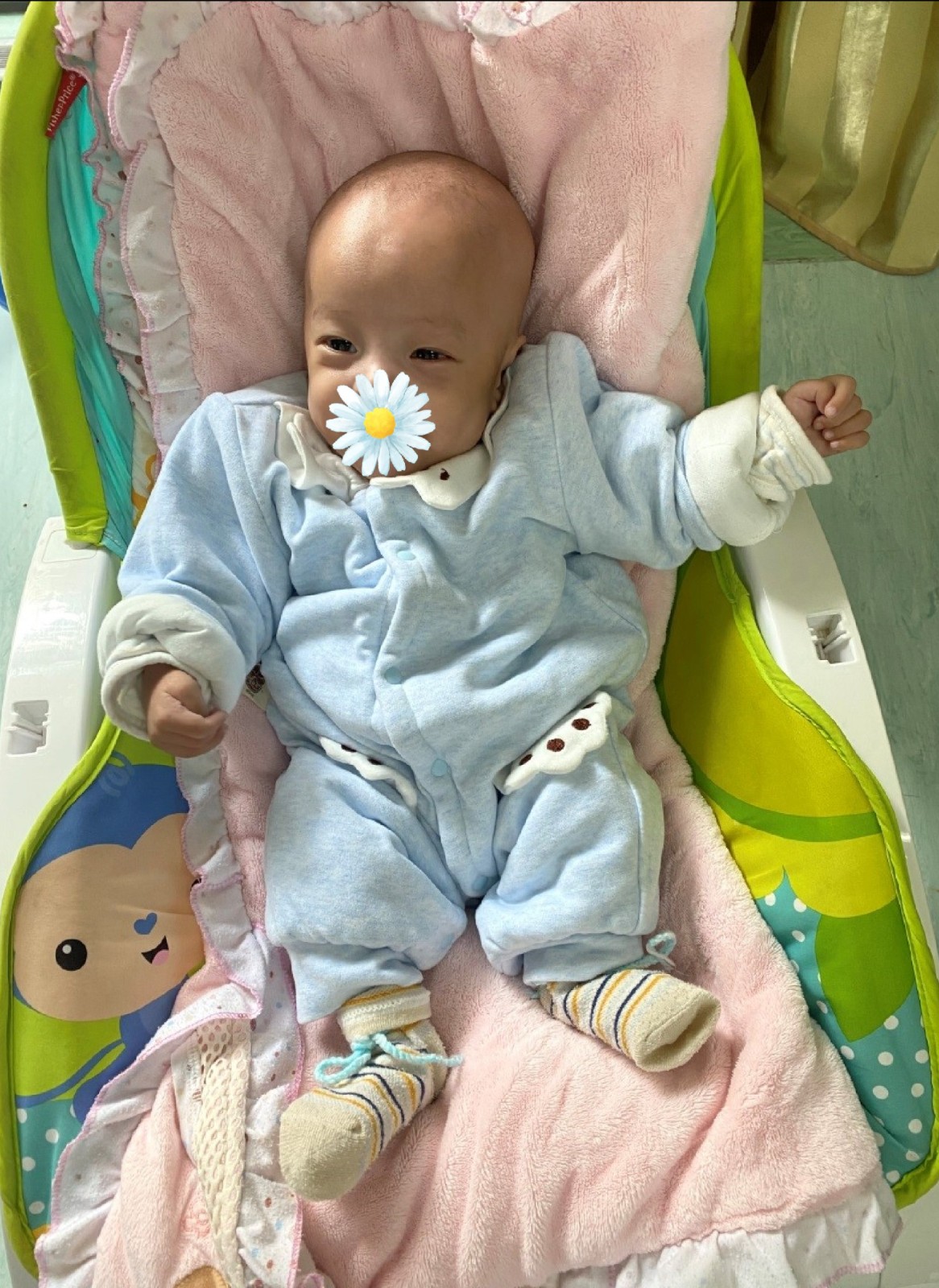 进家时的小七.jpg