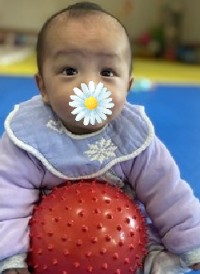面对新玩具，小七有点“懵”.jpg