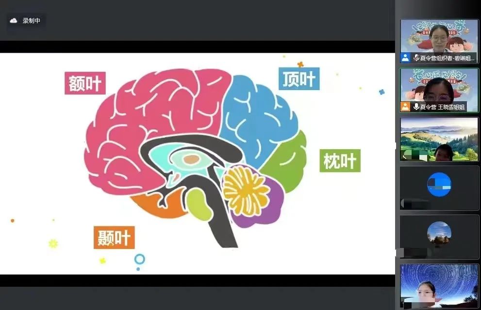神经外科刘雨桐医师为孩子们介绍大脑各部分的功能.jpg