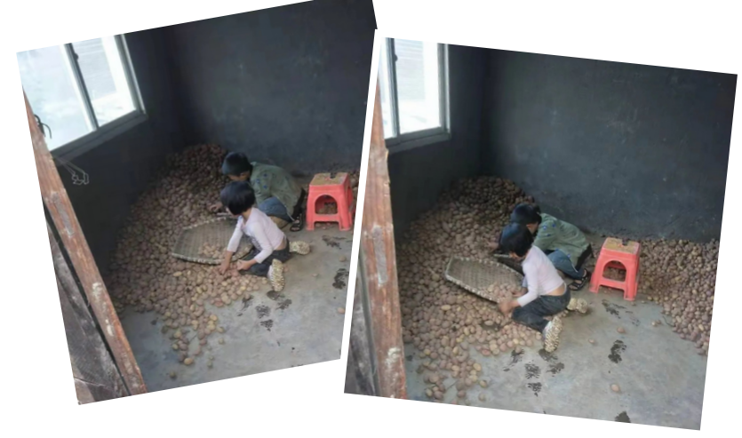 屏幕截图 2023-03-31 111657.png